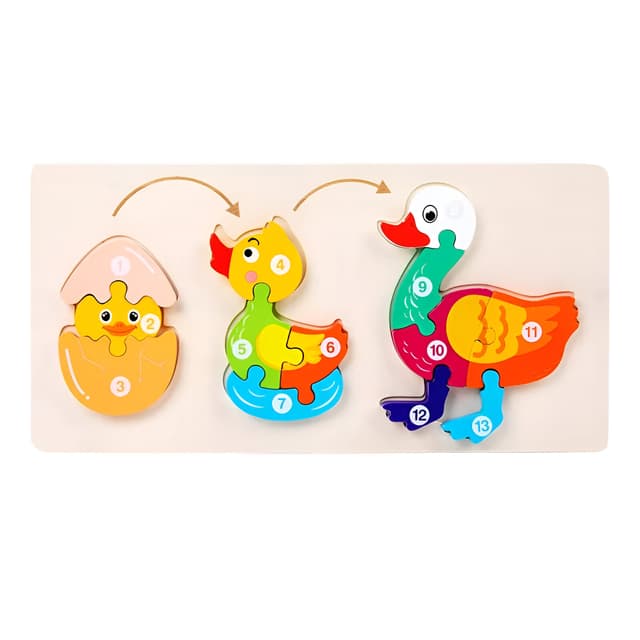 Rompecabezas Evolucion Pato 3d Juego Did