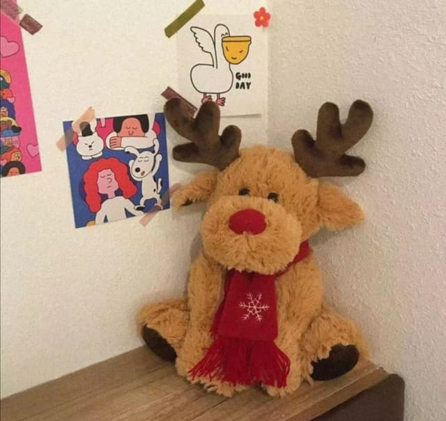 Peluche Navideno Manta Medida 1.601.10