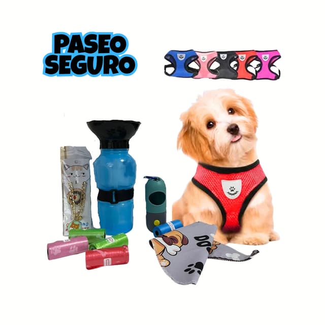 Kit Paseo Seguro