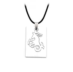 Collar Signo Zodiacal Placa Acero Estu thumbnail 1