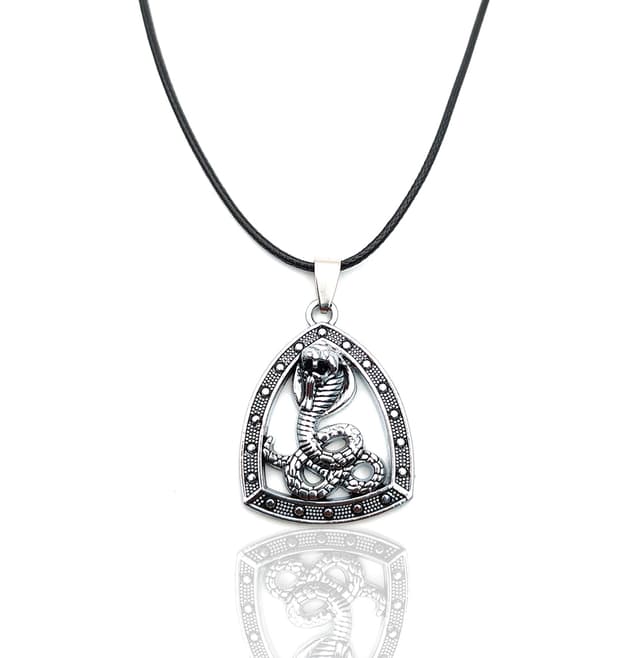 Collar Cobra Serpiente Plateado Estuche
