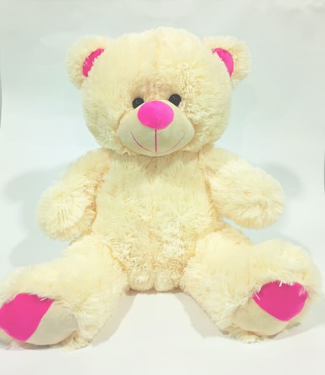 Peluche Oso 3624cm