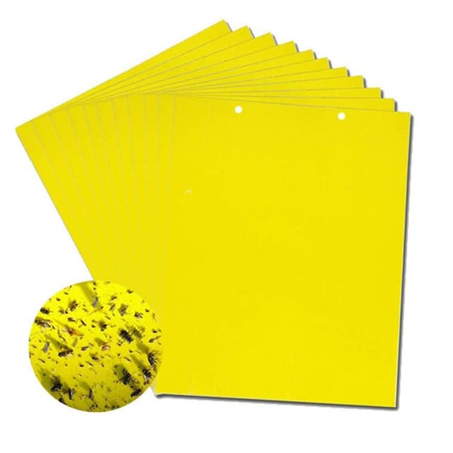 Trampa Insectos Adhesivo X10u