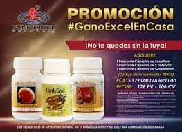 Capsulas Ganoderma