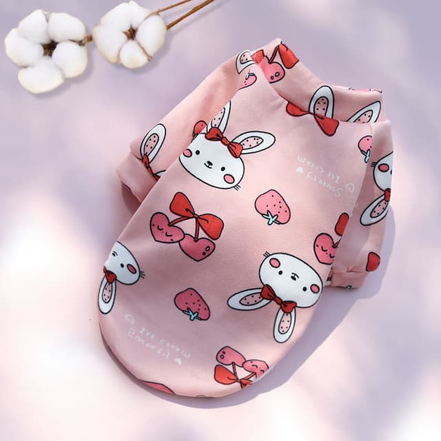Buzo Estampado Fresita Ropa Mascota
