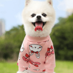 Buzo Estampado Fresita Ropa Mascota thumbnail 2