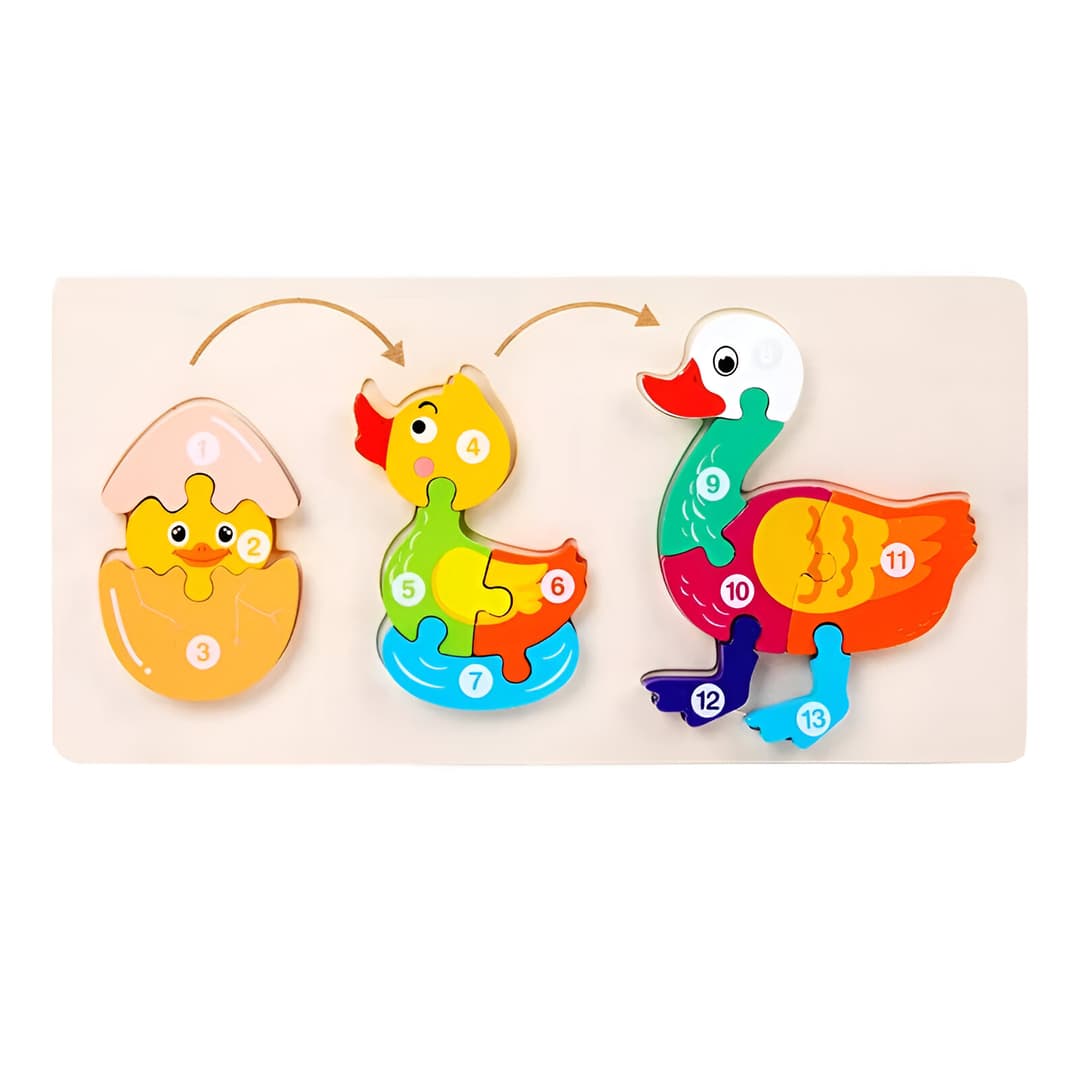 Rompecabezas Evolucion Pato 3d Juego Did