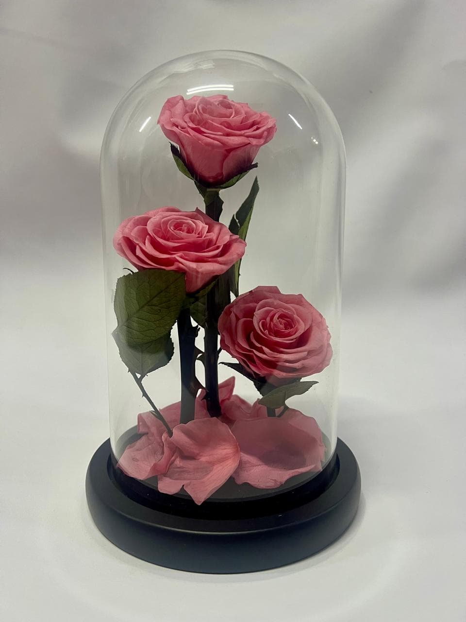 Rosa Preservada X 3