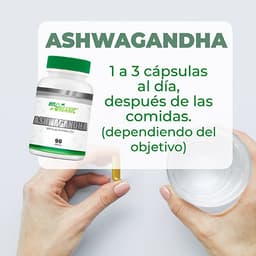 Ashwagandha 90 Capsulas thumbnail 4