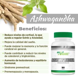 Ashwagandha 90 Capsulas thumbnail 2