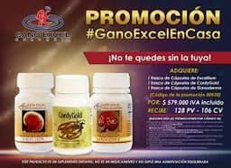 Capsulas Ganoderma thumbnail 1