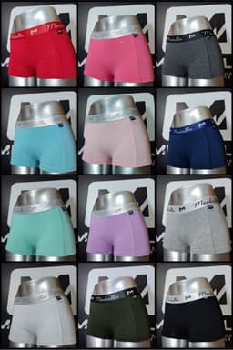 Boxer Dama Medallo thumbnail 9